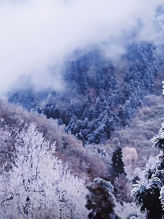 深圳出發2小時，高鐵直達看雪景