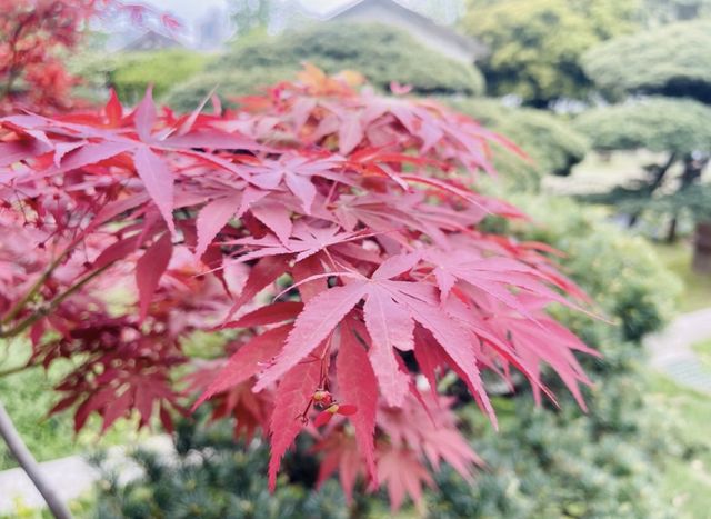 擁有動物園的4A景區——水繪園！
