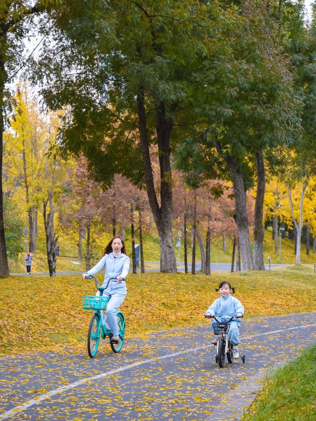 成都單車之旅，我願稱之為最美綠道公園
