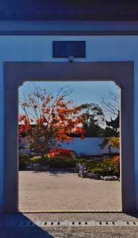 打卡濱江森林公園滈園