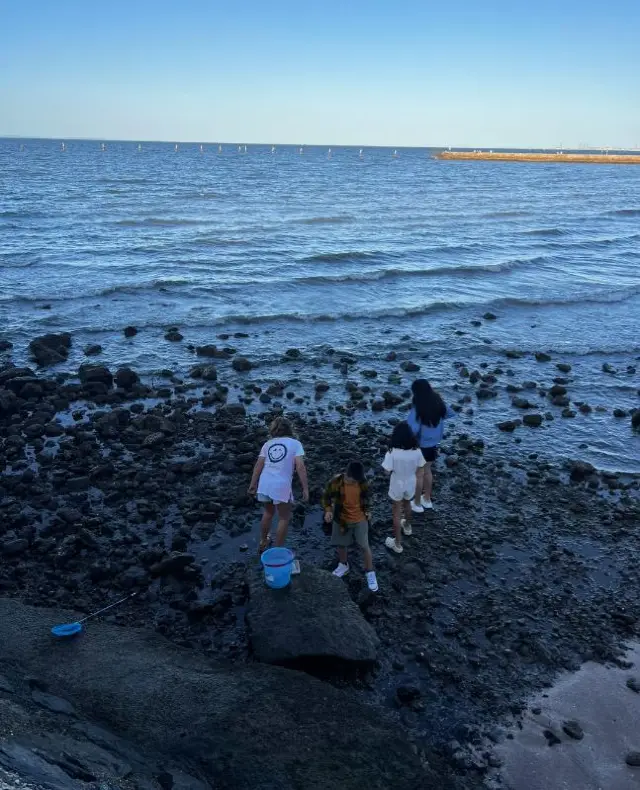 Brisbane: A Tapestry of Nature and Culture