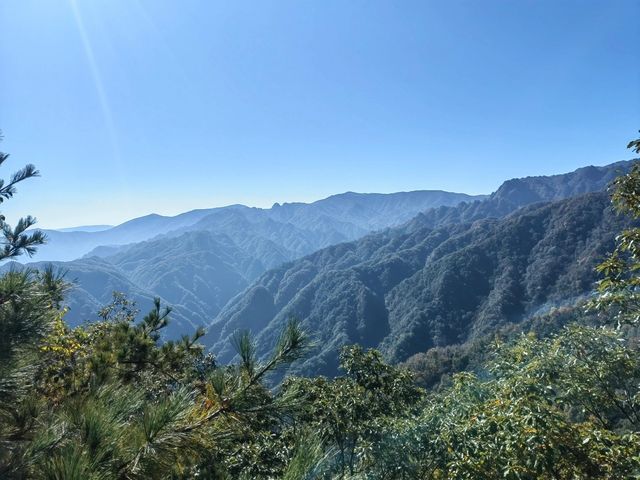 雲端上的雞峰山