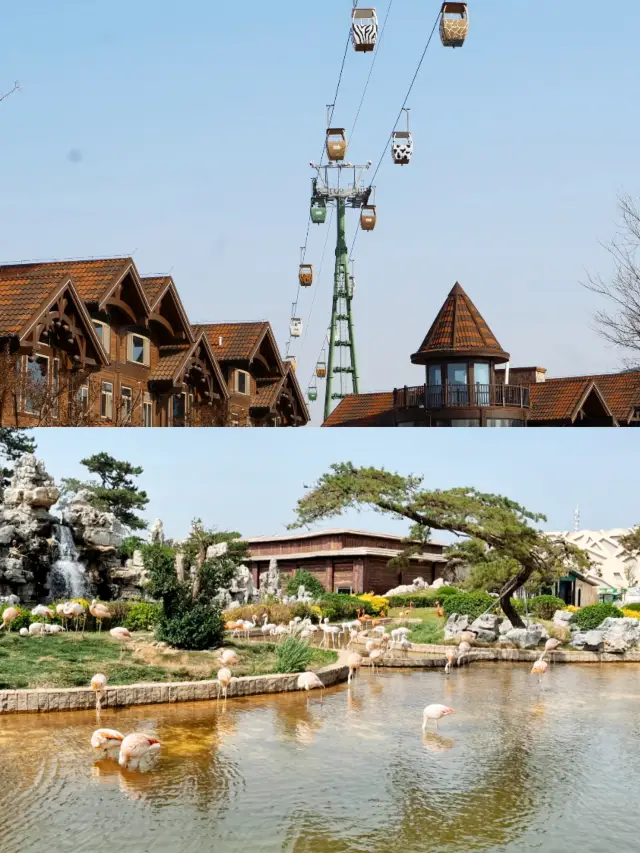 歐樂堡動物園攻略新手必看!