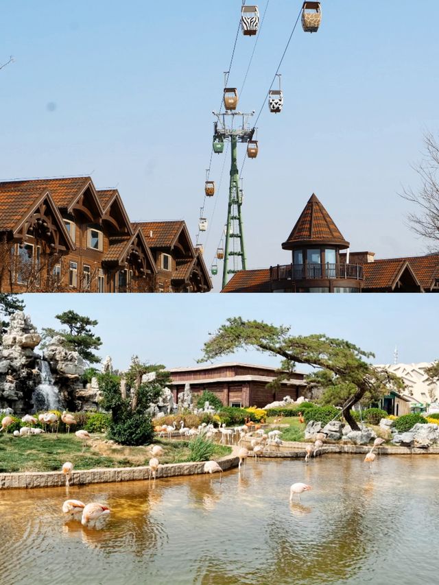 歐樂堡動物園攻略新手必看！