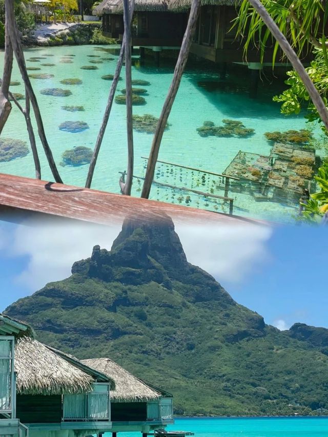 大溪地洲際酒店——我的奢華海島之旅