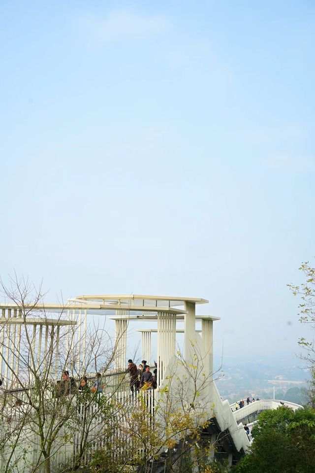 龍泉山城市森林公園｜城市綠肺，自然瑰寶