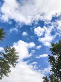 臨滄冬日遊 美景封神不容錯過