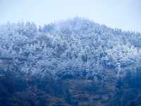 2025年的第一場雪
