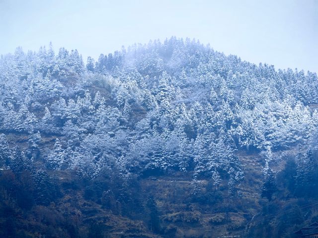 2025年的第一場雪