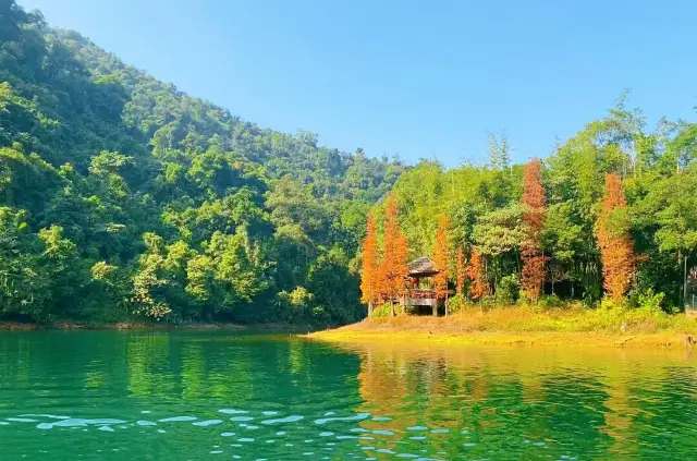 딩후산 당일 여행 가이드