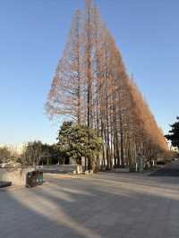 淮安兩日遊～錯峰出行更悠閒