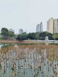 上海周末好去處-黃興公園探尋