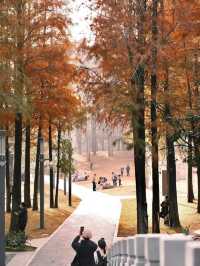 深圳四海公園超詳細遊玩攻略！