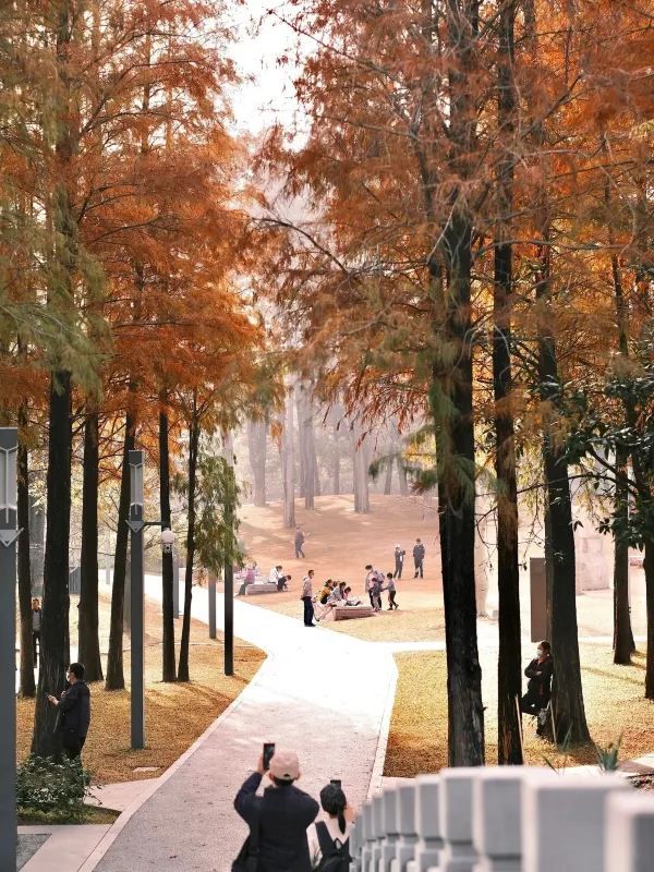 深圳四海公園超詳細遊玩攻略！