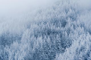 Xuebaoshan, Chongqing | Private Winter Wonderland