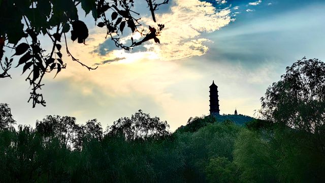 北坞公園的夏天，真美！