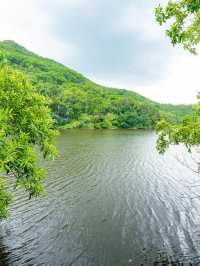 過年玩轉麗水：4日暢遊攻略