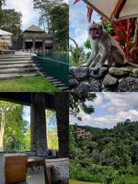 巴厘島秘密花園：阿麗拉烏布 Alila Ubud   酒店：阿麗拉烏布 Alila Ubud 