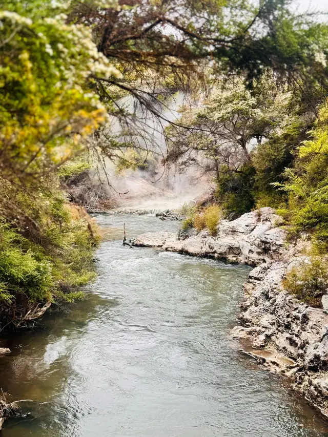 뉴질랜드 3일 투어 핵심 명소 여행