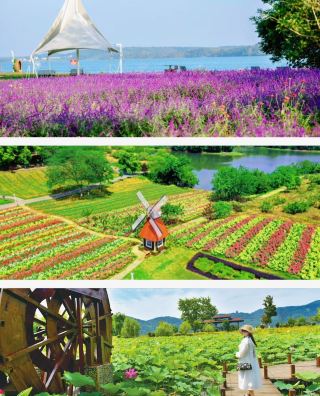 Jingzhou Weishui Scenic Area, the largest artificial earth dam in Asia