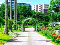 長居植物園玫瑰園