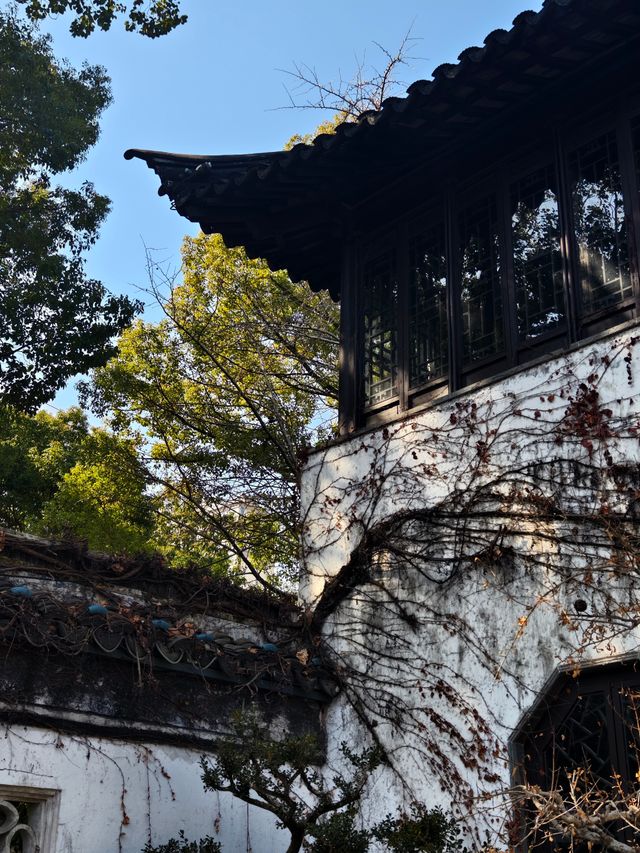 太倉冇咩景點可以去嘅一日遊