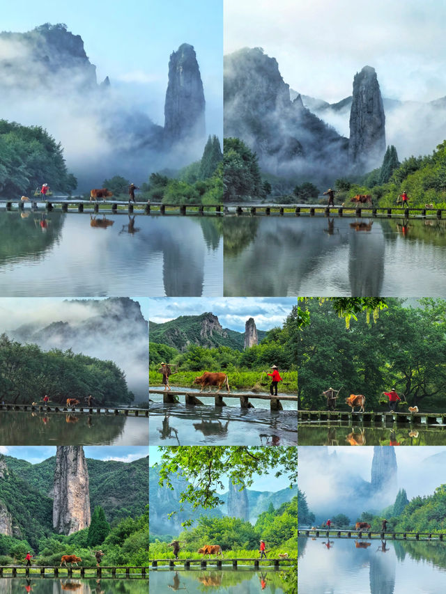 講真的，去麗水之前一定要好好做攻略！！！