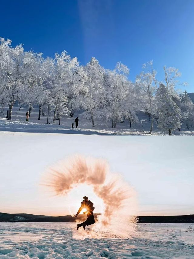 大學生強推！雪谷性價比天花板嘉毅客棧