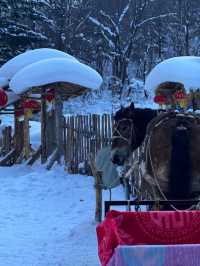 大學生強推！雪谷性價比天花板嘉毅客棧