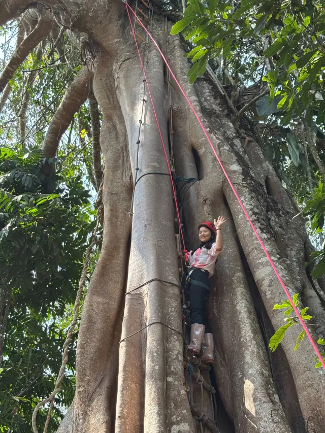 Xishuangbanna Rainforest Hiking
