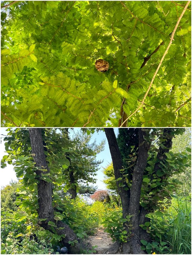 抱川市旅遊攻略