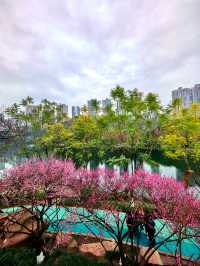 春日漫步：彩雲湖公園