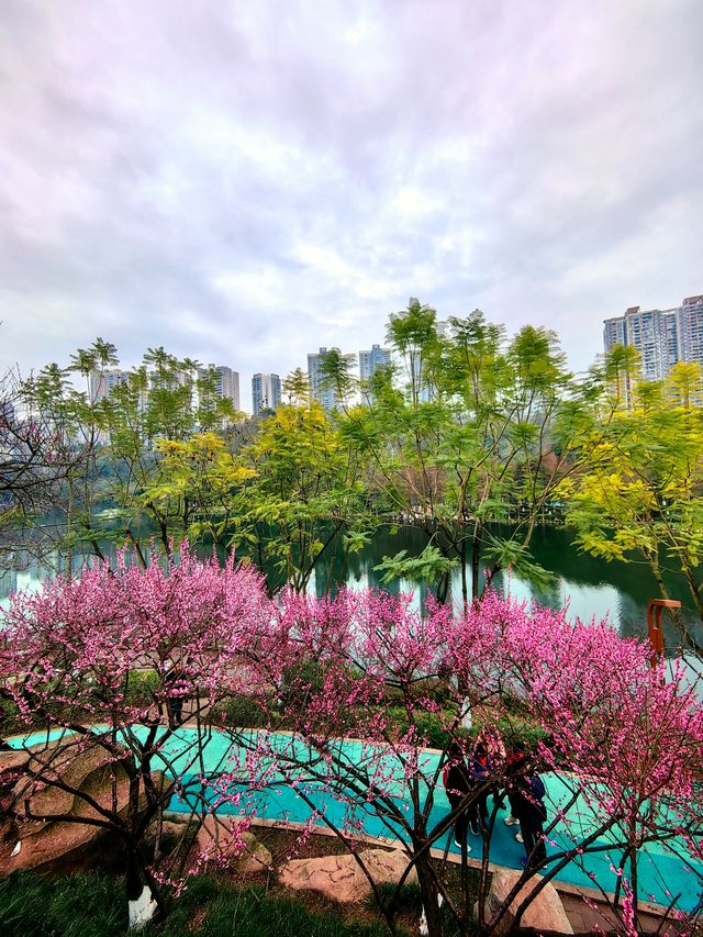 春日漫步：彩雲湖公園