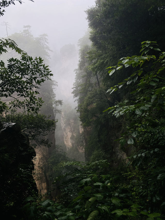 張家界-鳳凰-長沙之旅