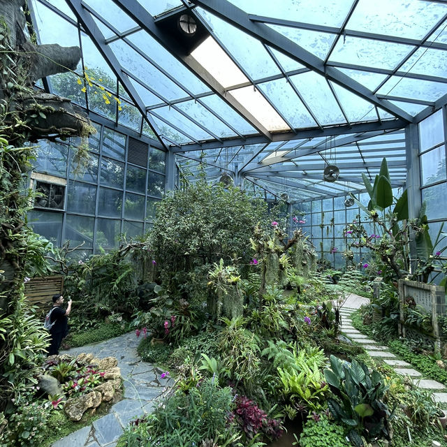 不在泰國！在東莞植物園