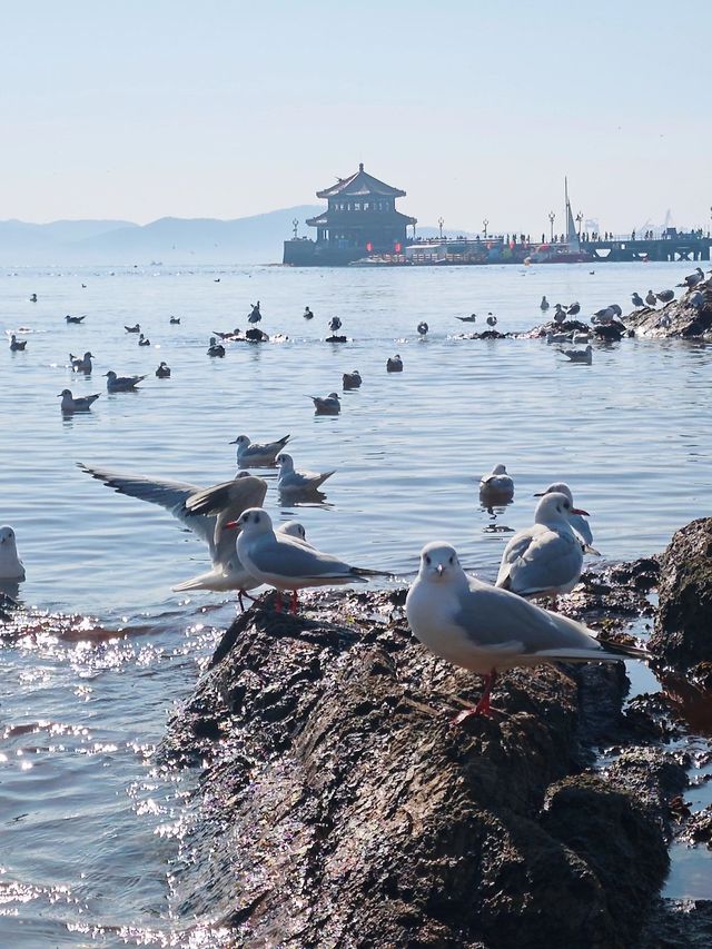 6日暢遊泰安-濟南-青島 必玩景點大揭秘