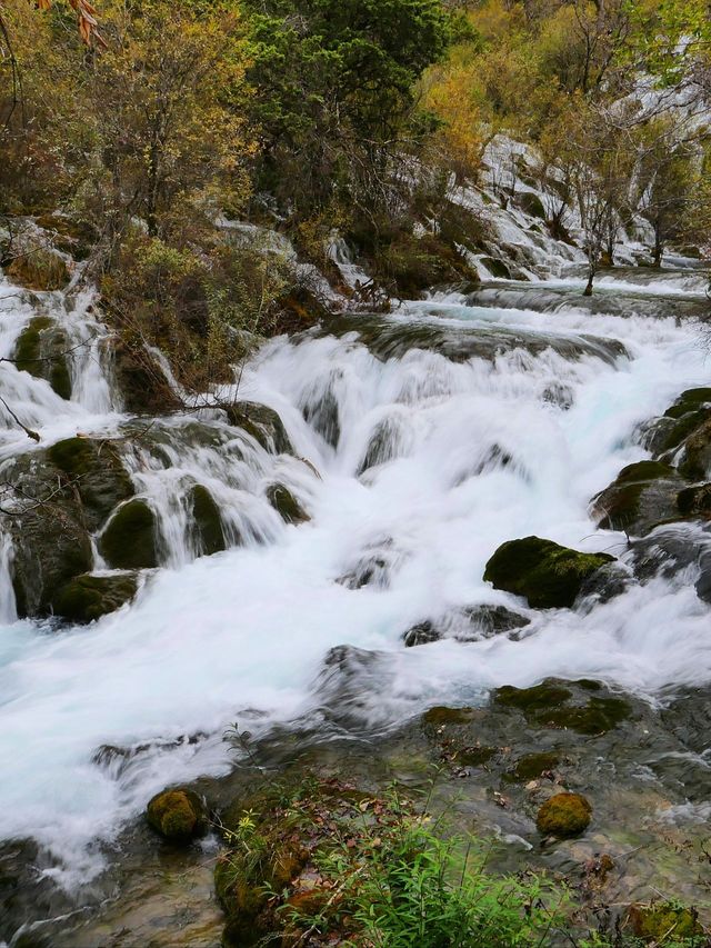 只需3天，即可體驗九寨溝-黃龍風景名勝區的壯麗景色，你值得擁有