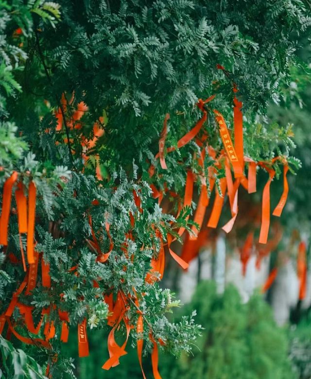 昆明寶華寺