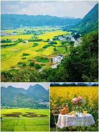 興義受罪已回，要去的姊妹慎重跟著音樂去旅行