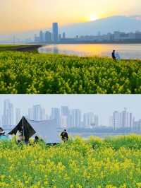 2025南昌油菜花海要開啦！快來打卡！