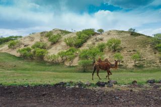 Welcome to the adult version of a real-life desert off-road race!