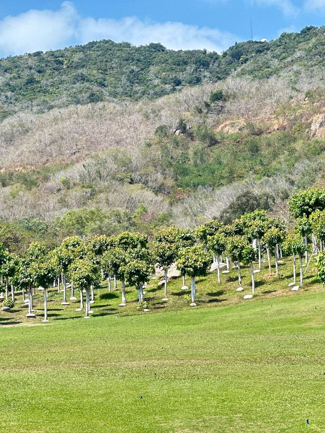 三亞4日探秘森林奇境 盡享自然野趣