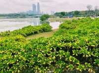深圳南山區著名公園景點：深圳人才公園，適合拍照打卡、親子遊戲、觀光旅遊。 