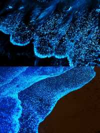 天津海邊藍眼淚,睇呢篇攻略就夠晒🫶🩷