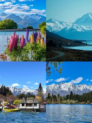 Explore New Zealand's Natural Beauty with Your Kids: A New Family Travel Experience
