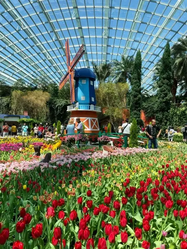 Explore the Flower Dome at Gardens by the Bay in Singapore