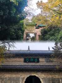 金陵靈谷寺：春日賞花踏青不容錯過