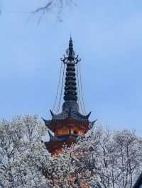 蘇州春日限定神仙機位丨0元飽覽雙塔絕景丨人少快衝