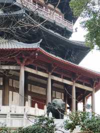 常州超絕二日遊，帶你解鎖寶藏景點