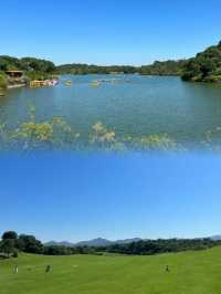 廣東超棒的遛狗露營草地